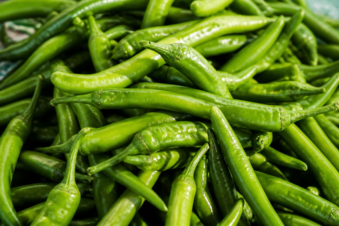 Green Chilies graded for export