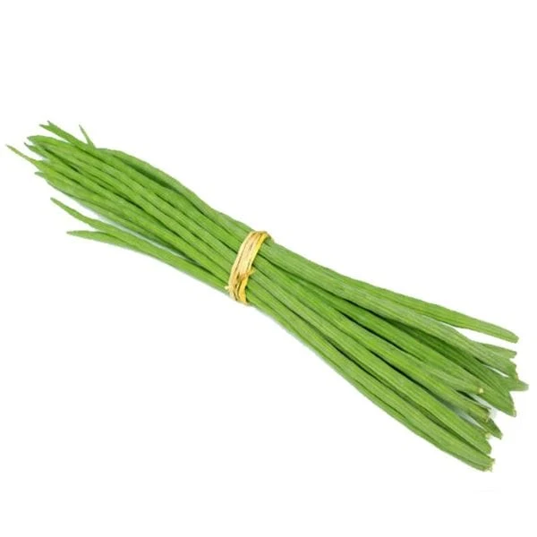 Moringa Drumstick graded for export